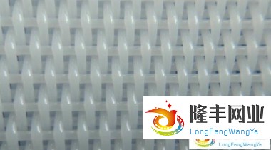 平織干網(wǎng)-22504