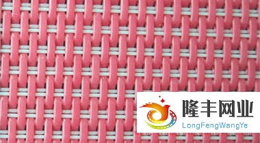 扁絲干網(wǎng)-4106