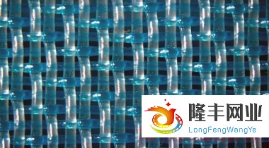單層成型網(wǎng)-27254