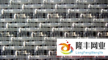 單層成型網(wǎng)-27358