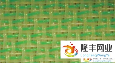 兩層半成形網(wǎng)-2B3616
