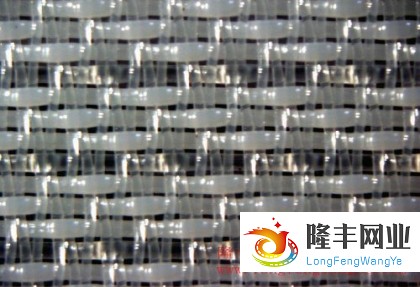 單層成型網(wǎng)-27358