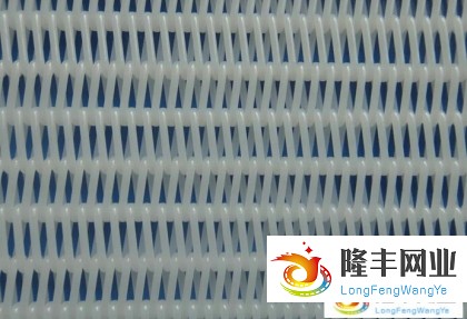 螺旋干網(wǎng)-中環(huán)