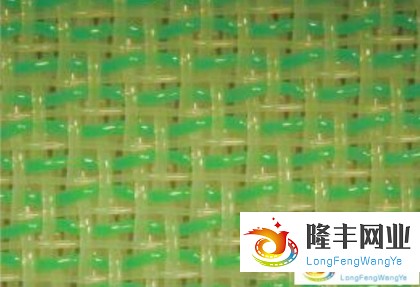 兩層半成形網(wǎng)-2B3616